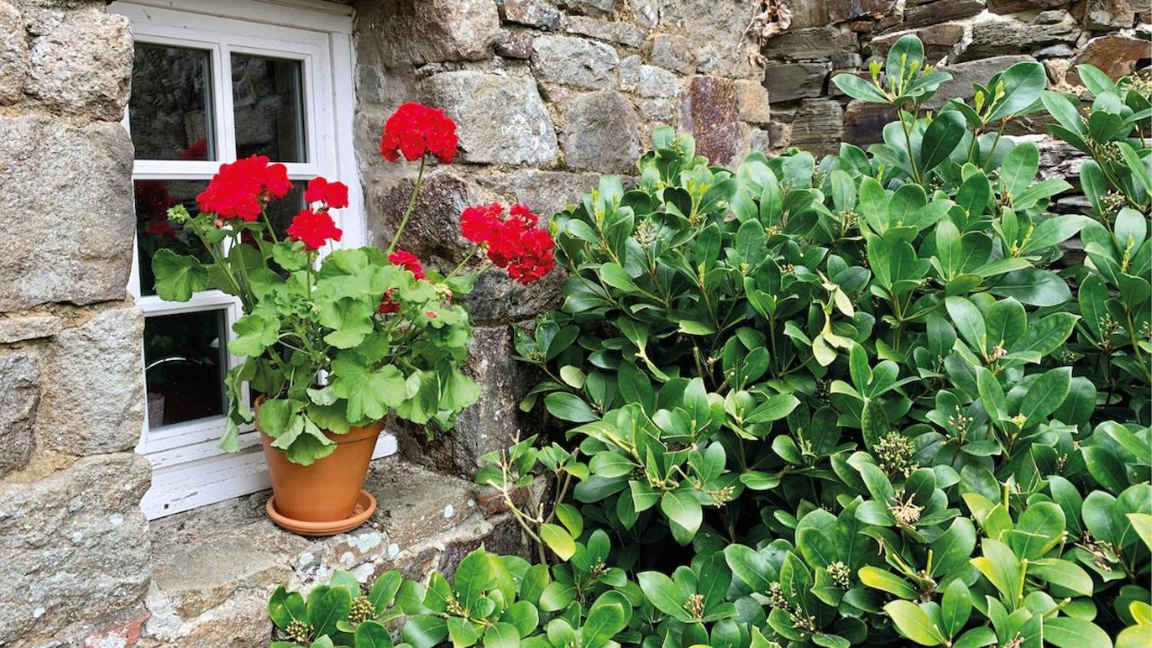 Manoir De La Begaudiere Mont-Dol Exterior foto